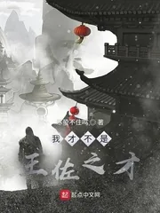 《我才不是王佐之才》小说封面