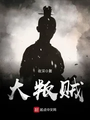 《大叛贼》小说封面