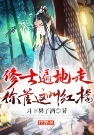 《修士遍地走，你管这叫红楼！》小说封面
