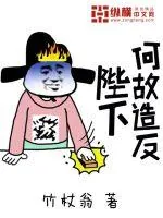 《陛下何故造反》小说封面