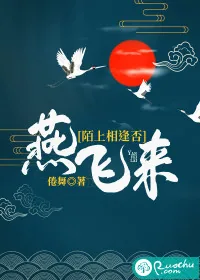 《燕飞来，陌上相逢否？》小说封面