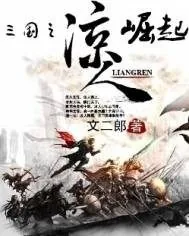 《三国之凉人崛起》小说封面