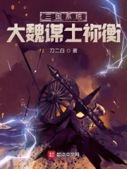 《三国系统：大魏谋士祢衡》小说封面