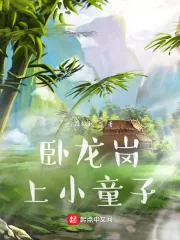 《卧龙岗上小童子》小说封面