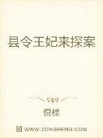 《县令王妃来探案》小说封面