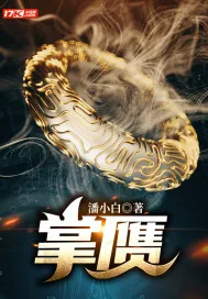 《掌赝》小说封面
