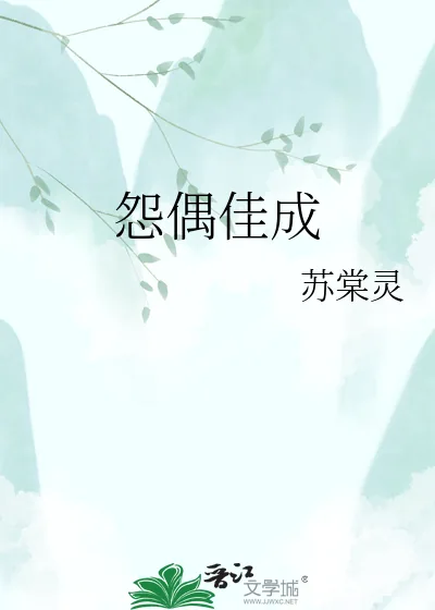 《怨偶佳成》小说封面