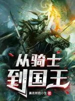 《从骑士到国王》小说封面