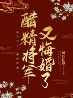 《醋精将军又悔婚了》小说封面