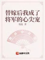 《替嫁后我成了将军的心尖宠》小说封面