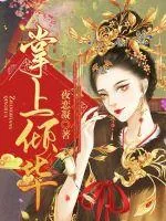 《掌上倾华》小说封面