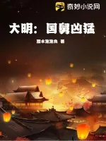 《大明：国舅凶猛》小说封面