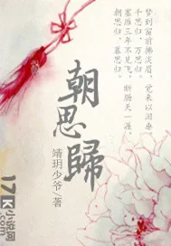 《朝思归》小说封面