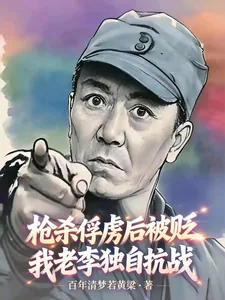 《枪杀俘虏后被贬，我老李独自抗战》小说封面