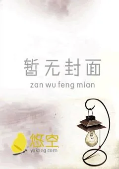 《铁板木匠》小说封面