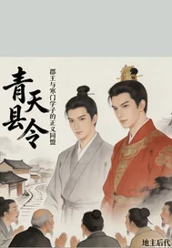 《青天县令：叶泽宇》小说封面
