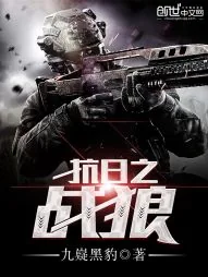 《抗日之战狼》小说封面