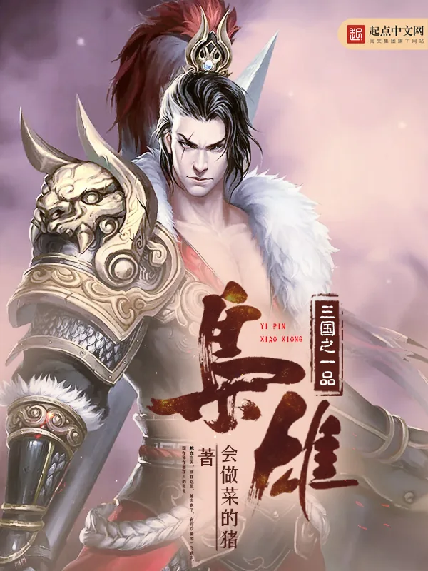 《三国之一品枭雄》小说封面