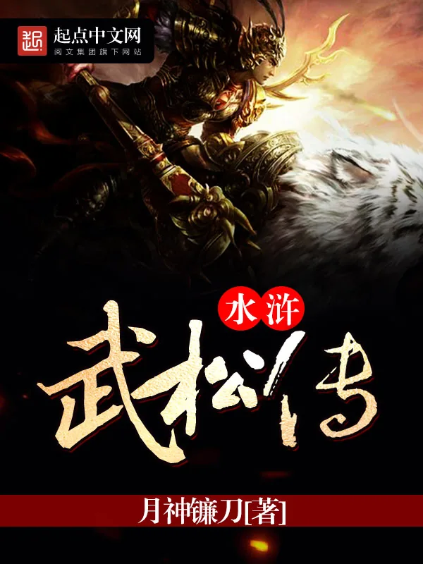 《水浒武松传》小说封面