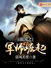 《战国之军师崛起》小说封面