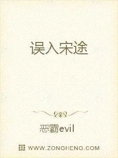 《误入宋途》小说封面