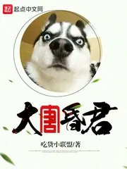 《大唐昏君》小说封面
