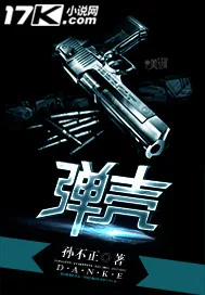 《弹壳》小说封面