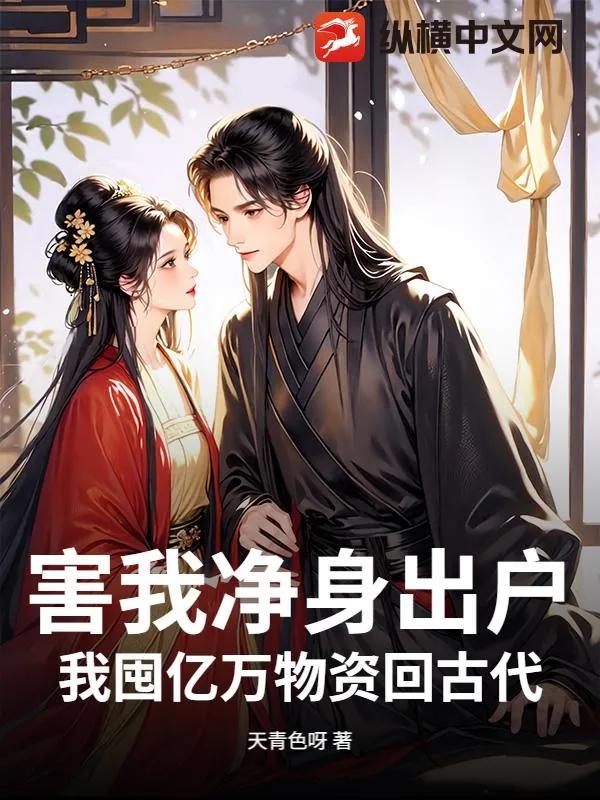 《害我净身出户？我囤亿万物资回古代！》小说封面