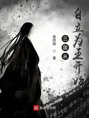 《三国从自立为王开始》小说封面