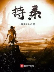 《持秦》小说封面