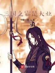 《三国之霸楚大业》小说封面