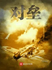 《对垒》小说封面