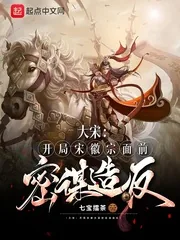 《大宋:开局宋徽宗面前密谋造反》小说封面
