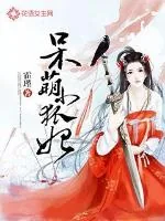 《天价小狐妃》小说封面