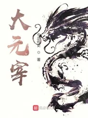 《大元宰》小说封面