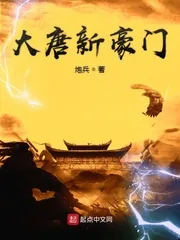 《大唐新豪门》小说封面
