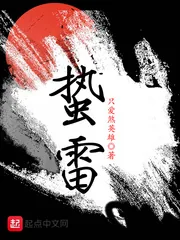 《蛰雷》小说封面