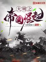 《大明之帝国崛起》小说封面