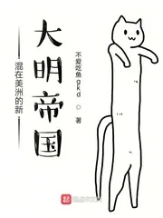 《混在美洲的新大明帝国》小说封面