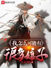 《我，怎么可能有很多娘子！》小说封面