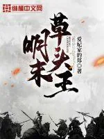 《明末草头王》小说封面