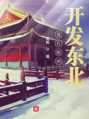 《我在晚唐开发东北》小说封面