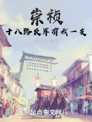 《崇祯：十八路反军有我一支》小说封面