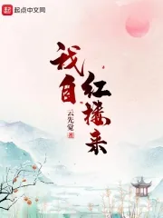 《我自红楼来》小说封面
