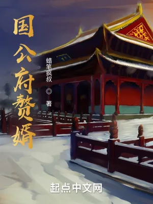 《国公府赘婿》小说封面