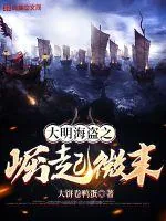 《大明海盗之崛起微末》小说封面