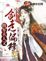 《将军夫人又剑走偏锋》小说封面