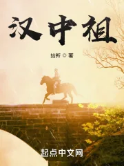 《汉中祖》小说封面