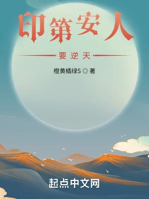 《印第安人要逆天》小说封面