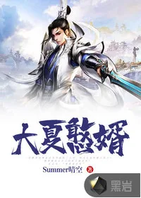 《大夏憨婿》小说封面